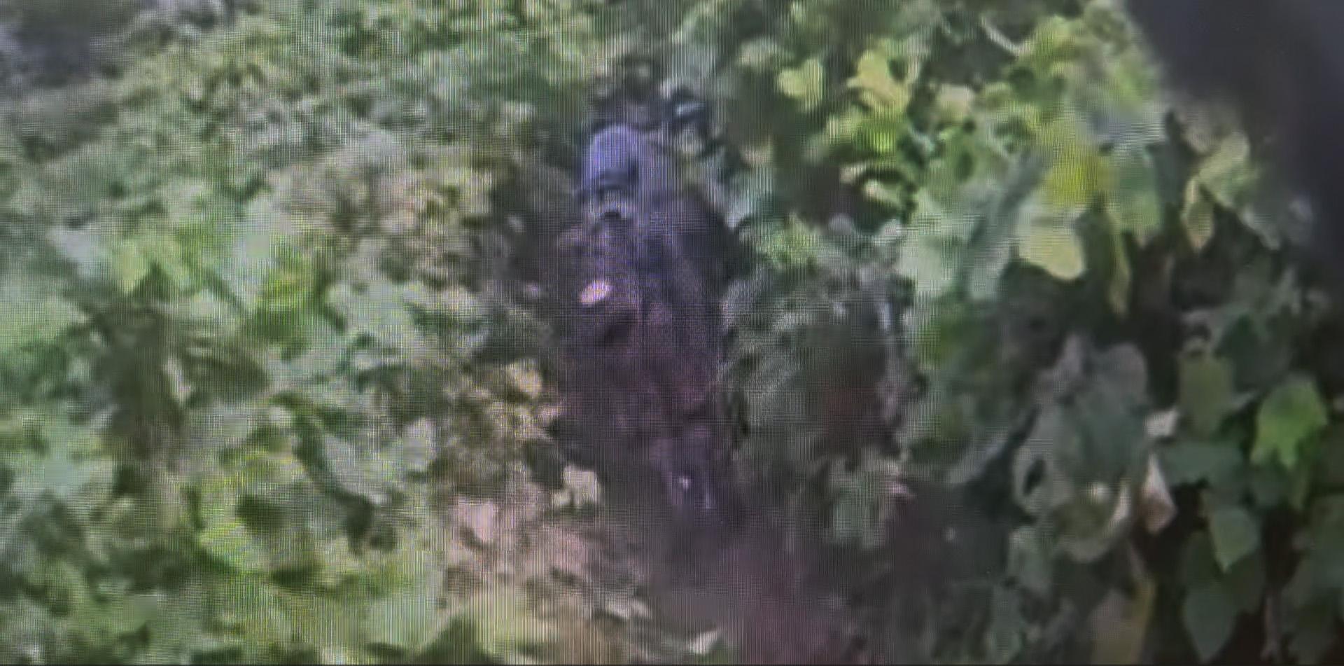 Soldier's statement points to possible unexploded land mine at DMZ blast site